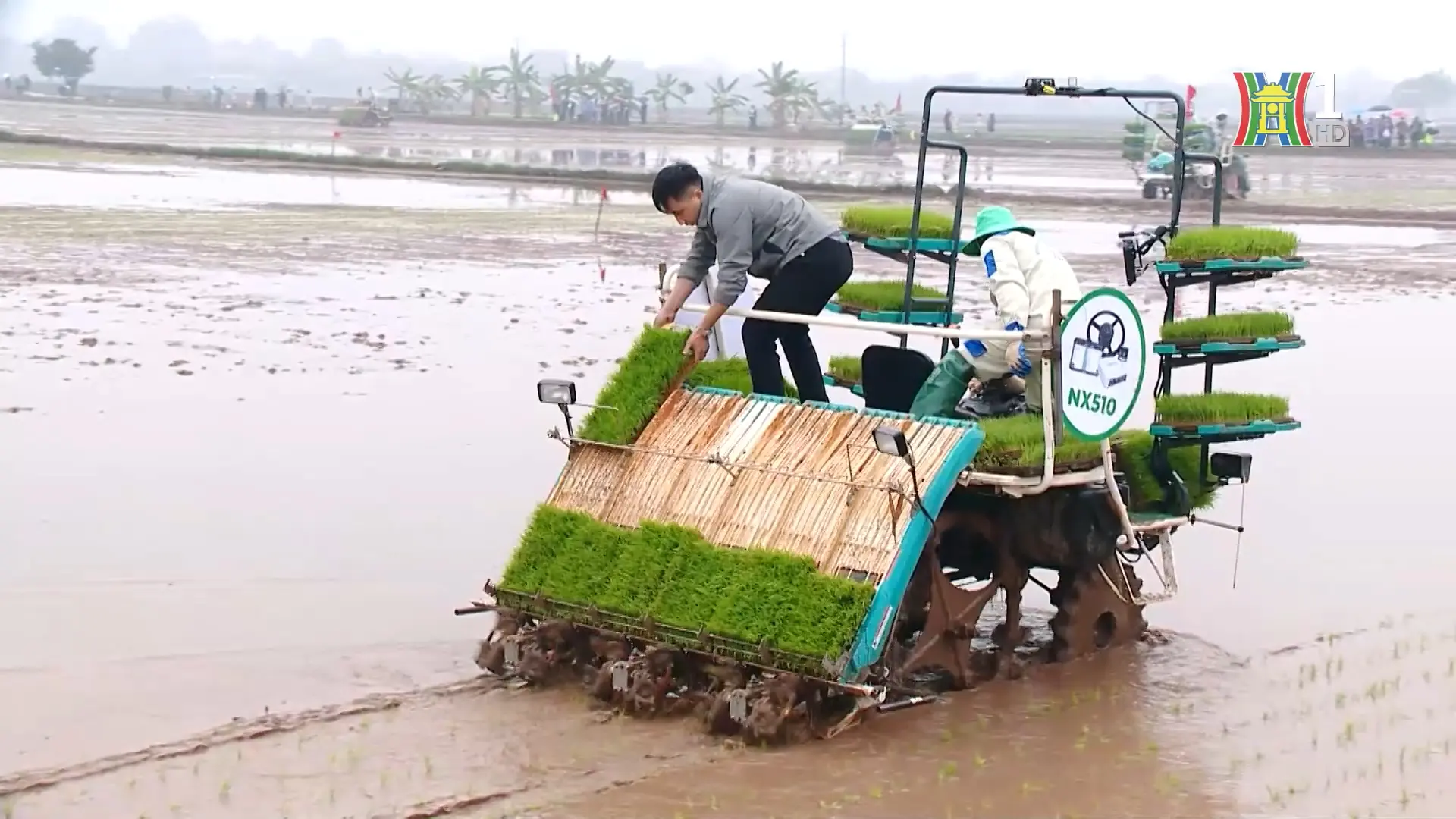 Ứng Thiên – Từ hợp nhất đến bứt phá | Nông thôn mới Hà Nội | 21/12/2025